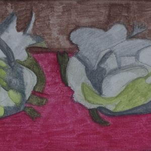 Sofia Inés Musumano Rose Matite acquarellate su tela cm55x23 Agosto 2019